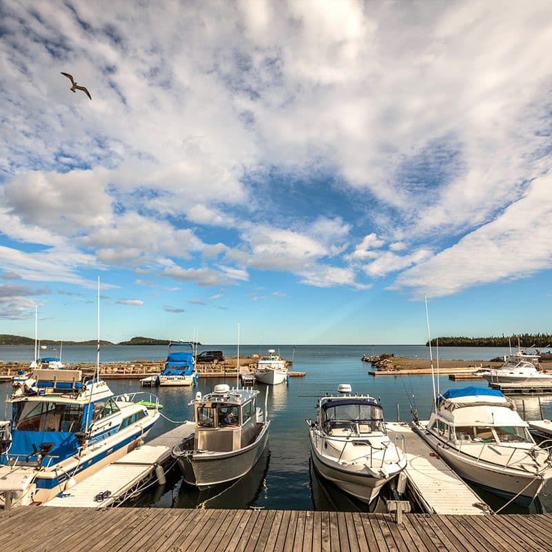 visit/marina photo 2