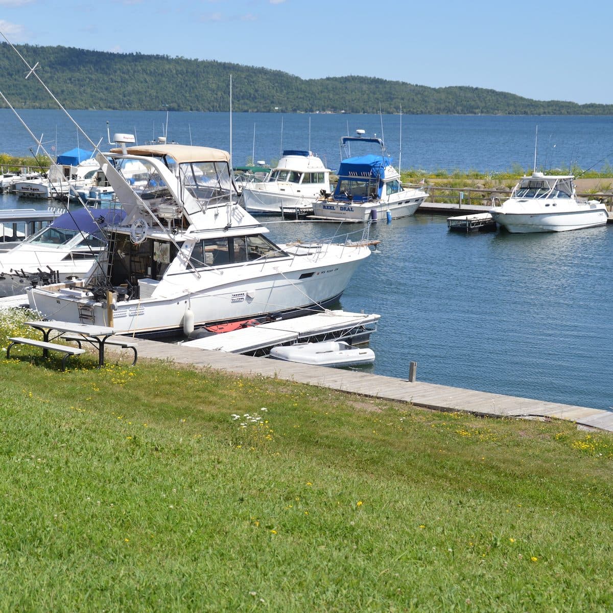 visit/marina photo 3